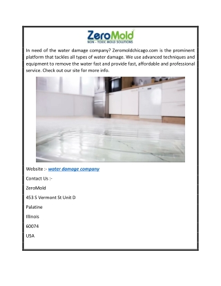 Water Damage Company  Zeromoldchicago.com