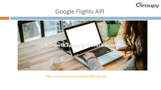 Google Flights API