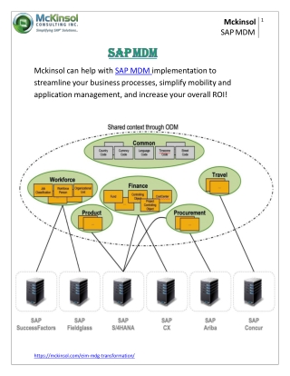 SAP MDM:- mckinsol