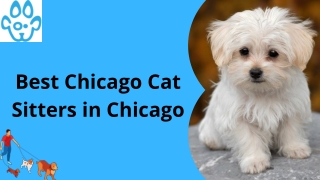Best Chicago Cat Sitters in Chicago.ppt