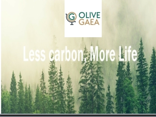 Carbon footprint calculator UAE