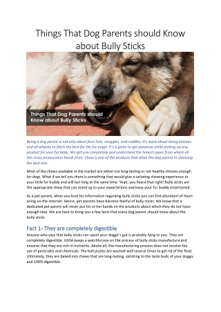 Things That Dog Parents should Know about Bully Sticks