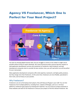 Agency VS Freelancer, Which One Is Perfect for Your Next Project