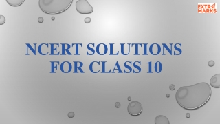 NCERT Solutions For Class 10