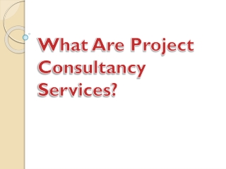 What Are Project Consultancy Services?