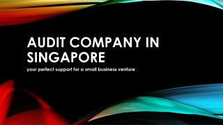Best Audit Company in Singapore