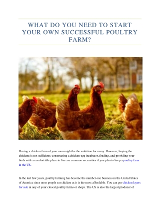 What Do You Need To Start Your Own Successful Poultry Farm