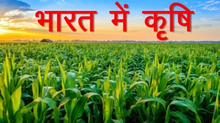 The Best MP Police in indore-8