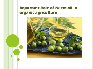 Role of neem oil in organic farming - indogulfbioag