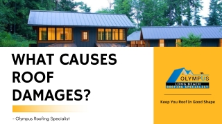 What Causes Roof Damages
