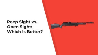 Peep Sight vs. Open Sight: Which Is Better?