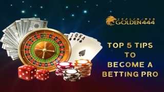 Top 5 tips to become a bet pro