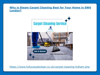 Why is Steam Carpet Cleaning Best for Your Home