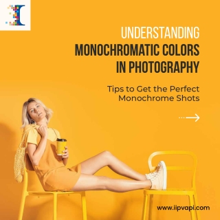 Understanding Monochromatic Colors in Photography