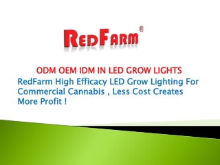 Benefits of Veg LED Grow Light