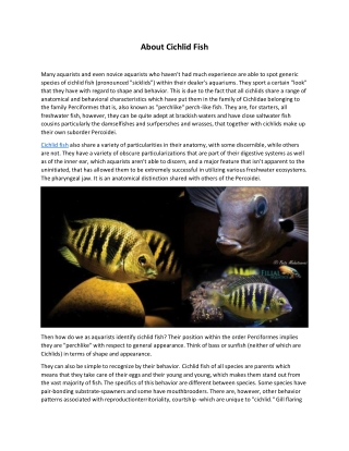 About Cichlid Fish