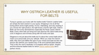 WHY OSTRICH LEATHER IS USEFUL FOR BELTS