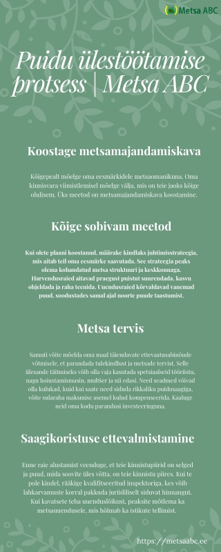 Puidu ülestöötamise protsess | Metsa ABC