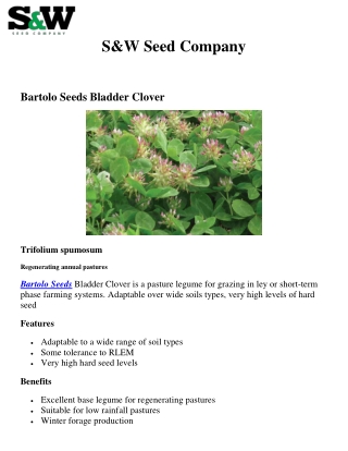 Bartolo Seeds Bladder Clover