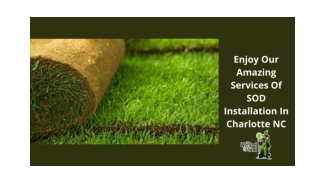 Enjoy Our Amazing Services Of SOD Installation In Charlotte NC