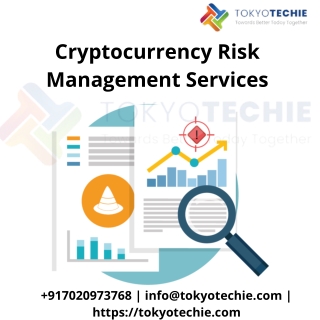 Cryptocurrency Risk Management Services