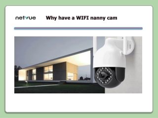 Why have a WIFI Nanny Cam