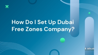 How Do I Set Up Dubai Free Zones Company?
