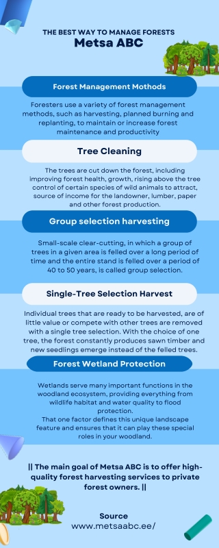 The Best Way to Manage Forests | Infographics | Metsa Abc