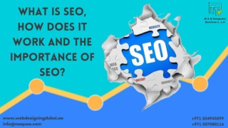 WHAT IS SEO, HOW DOES IT WORK AND THE IMPORTANCE OF SEO _ Best SEO company in Dubai