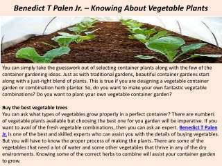 Benedict T Palen Jr. – Knowing About Vegetable Plants