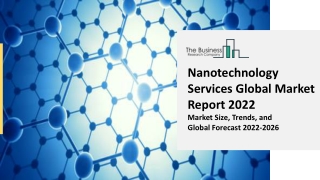 Nanotechnology Services Market Growth Analysis through 2031