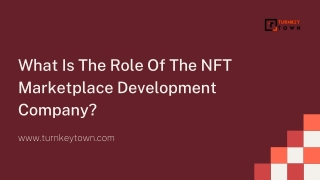 What Is The Role Of The NFT Marketplace Development Company?