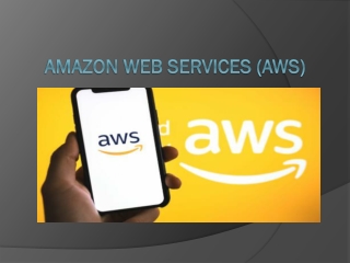 Amazon Web Services (AWS)1