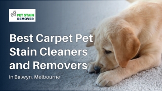 Best Carpet Pet Stain Cleaners and Removers in Balwyn, Melbourne