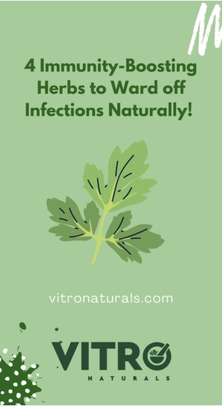 4 Immunity-Boosting Herbs to Ward off Infections Naturally!