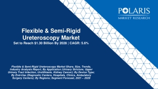 Flexible & Semi-Rigid Ureteroscopy Market
