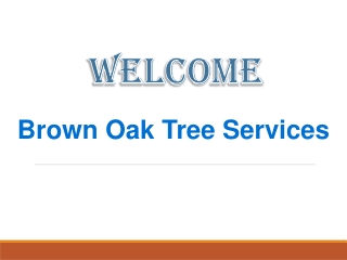 Brown Oak Tree Services