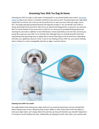 Grooming Your Shih Tzu Dog At Home