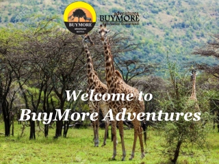 Kenya Budget Tours-An Exquisite Approach to See the Best of Kenya Even on a Budg