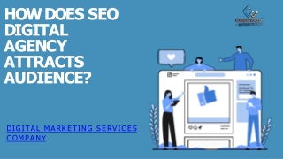 How does SEO digital agency attracts audience