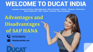 Advantages and   Disadvantages  of SAP HANA