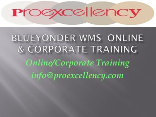 Blue Yonder WMS Technofunctional Online Training by Proexcellency
