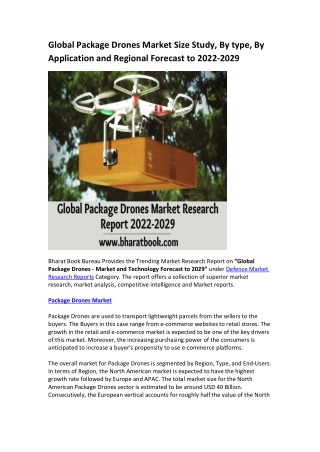 Global Package Drones Market Research Report 2022-2029
