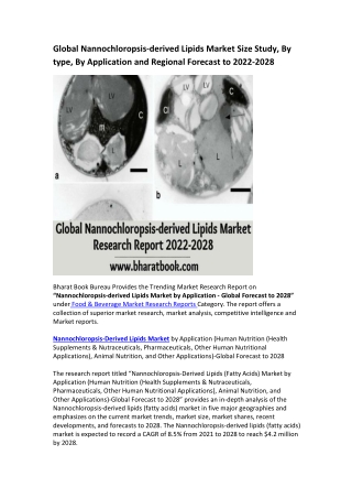 Global Nannochloropsis-derived Lipids Market Research Report 2022-2028