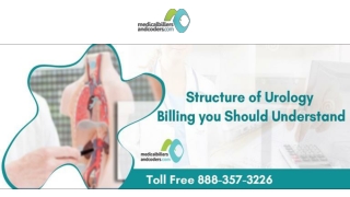 Structure of Urology Medical Billing you should understand