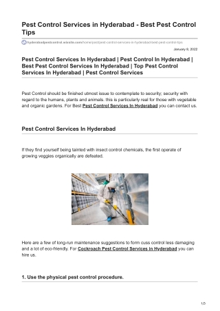 Best Pest Control Tips