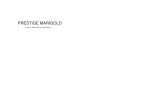 Prestige Marigold Bettenahalli, North Bangalore - Residential Plots Brochure