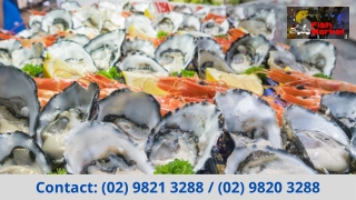 Best Quality Oyster Market