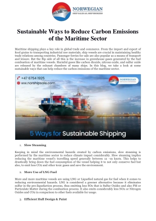 Sustainable Ways to Reduce Carbon Emissions of the Maritime Sector