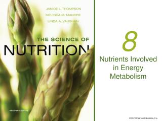 Nutrients Involved in Energy Metabolism
